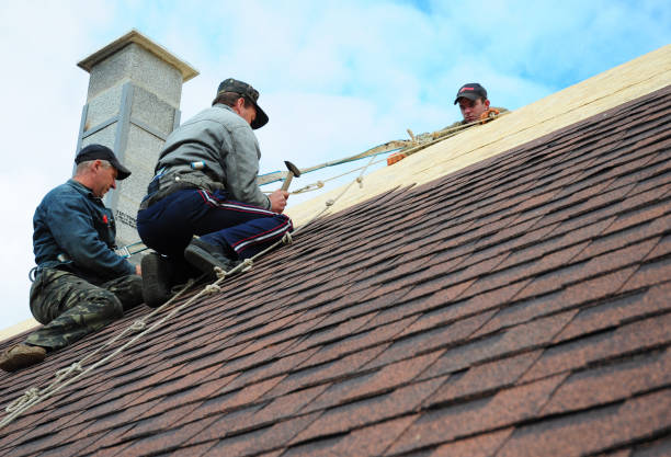 Best Storm Damage Roof Repair  in Fort Payne, AL