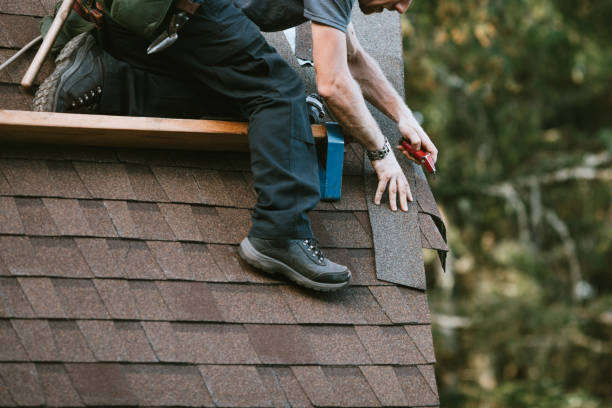 Best Gutter Installation and Roofing  in Fort Payne, AL